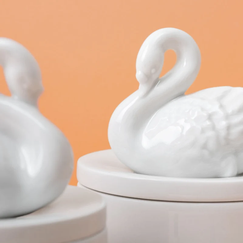 Dose Schwan