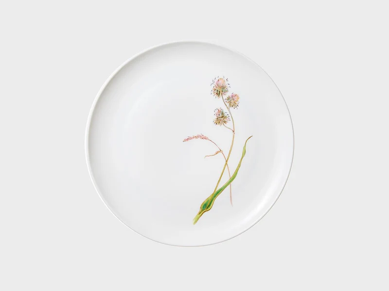 Teller Coupe | Lotos | Sommergräser | 21 cm