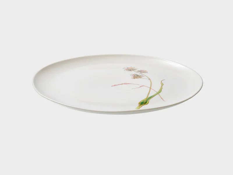 Teller Coupe | Lotos | Sommergräser | 21 cm