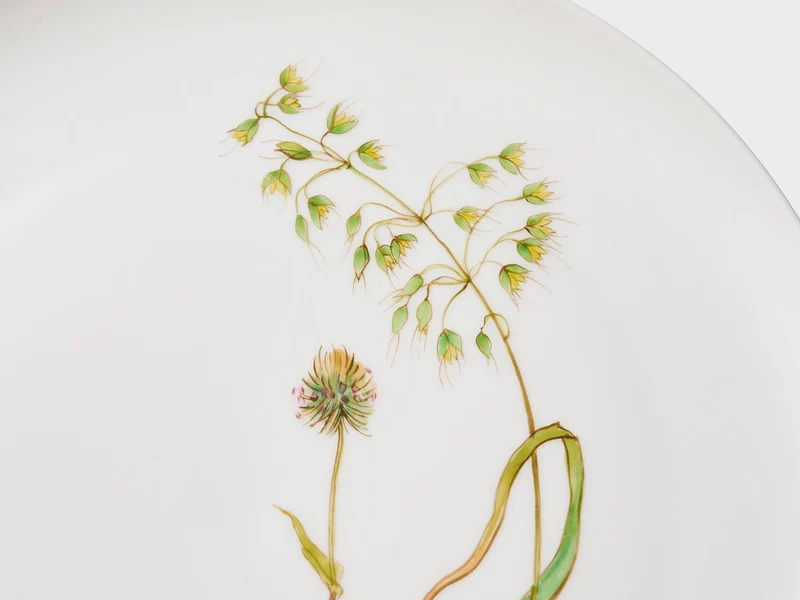 Teller Coupe | Lotos | Sommergräser | 21 cm