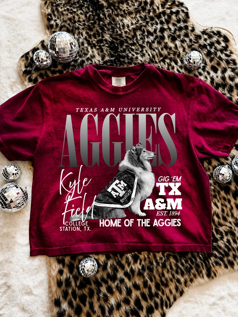 Aggies TX A&M Collegiate Boxy Crop Tee