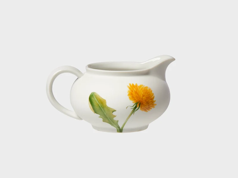Kännchen | Lotos | Pusteblume