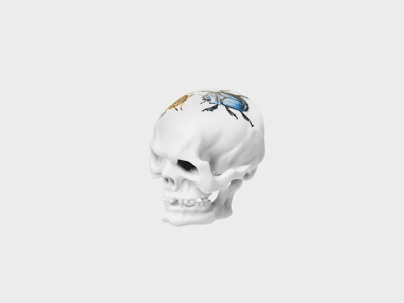 Totenkopf mit Insekten