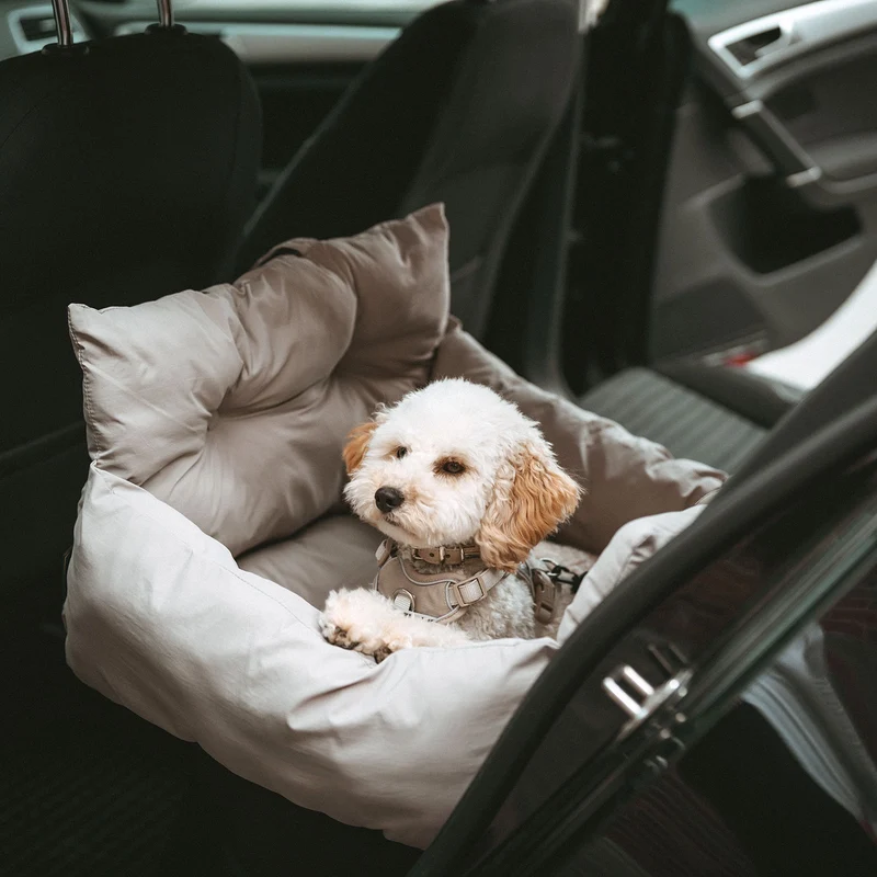 2-in-1 Autositz und Reisebett Seoul