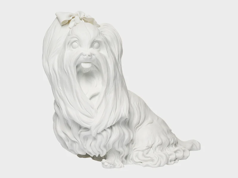 Yorkshire Terrier | weiss biskuit