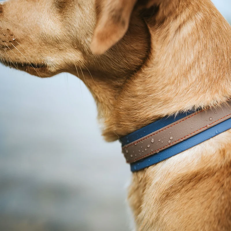 Halsband Havanna