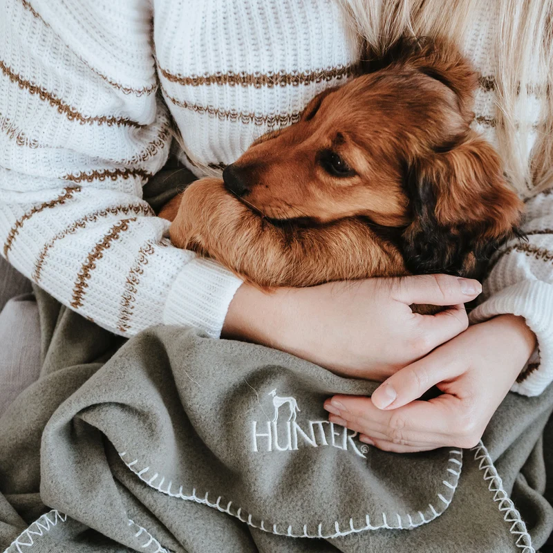 Hundedecke Casper