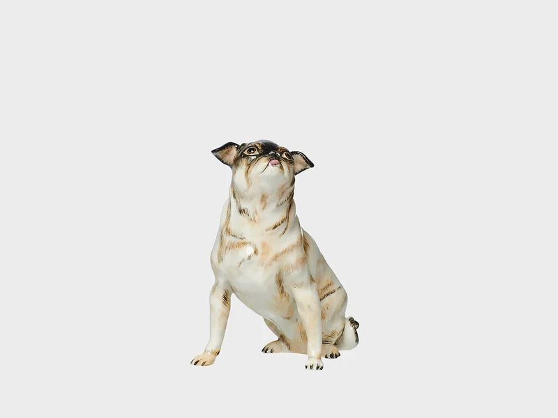 Mops