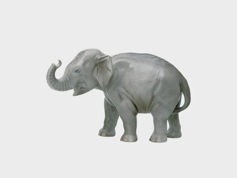 Elefant Rüssel aufwärts