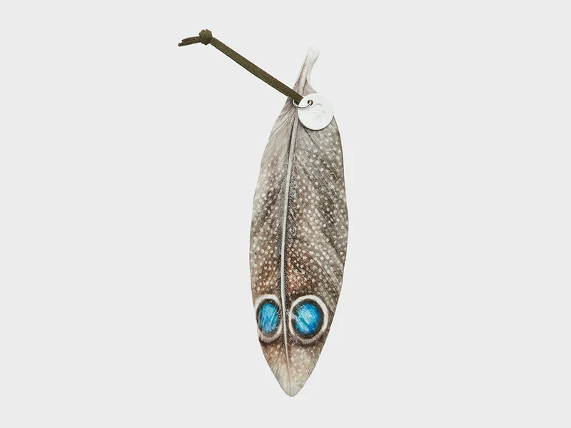Feder | Perlhuhn