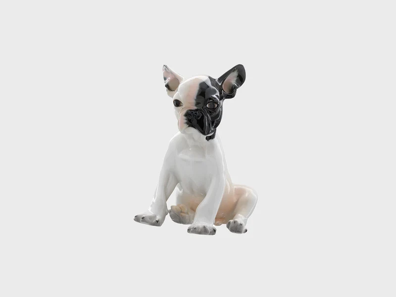 Bulldogge