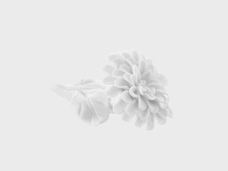 Tischblume Dahlie