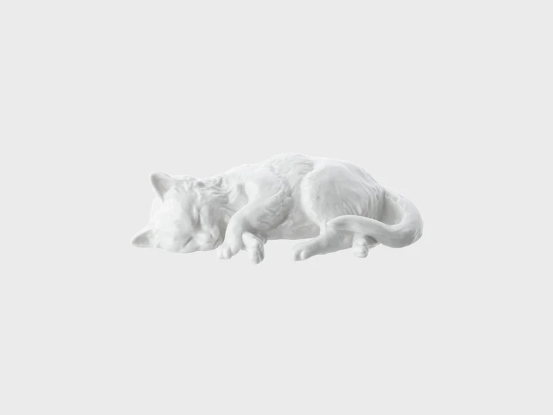 Katze