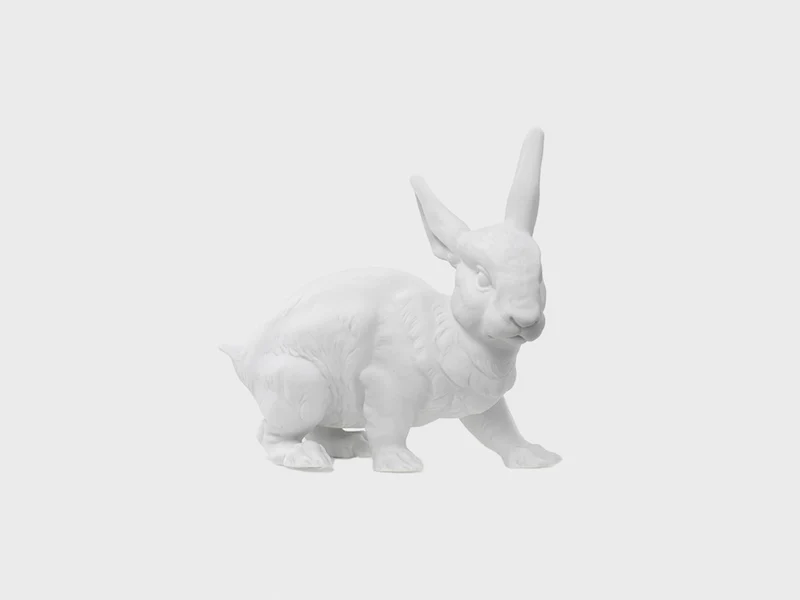 Hase