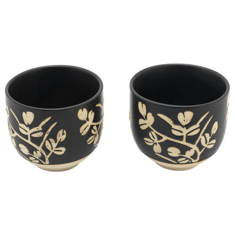 Asiatisches Teeset Sichuan mit zwei Cups