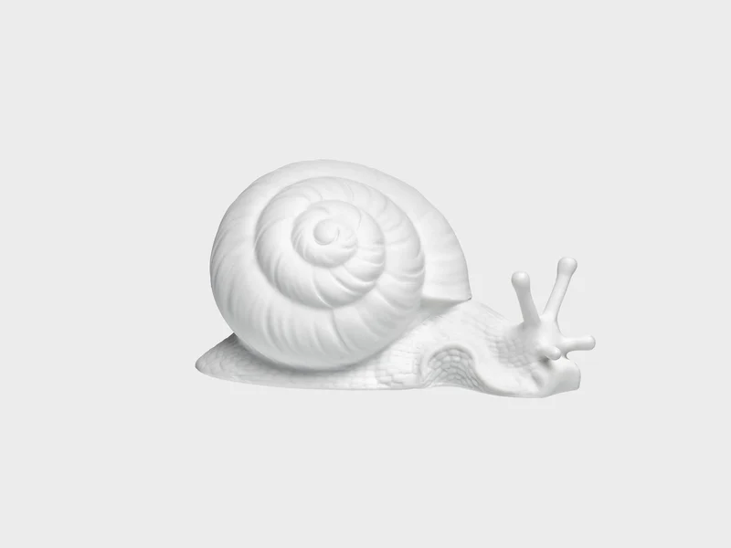 Schnecke