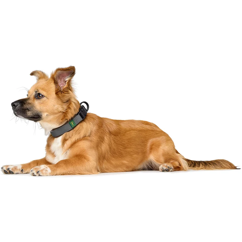 Halsung Maldon