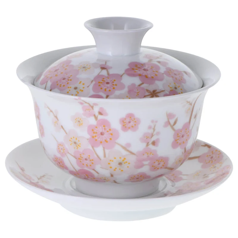Porzellan Gaiwan farbig