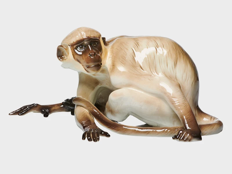 Affe