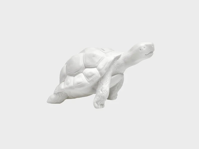 Schildkröte Mona