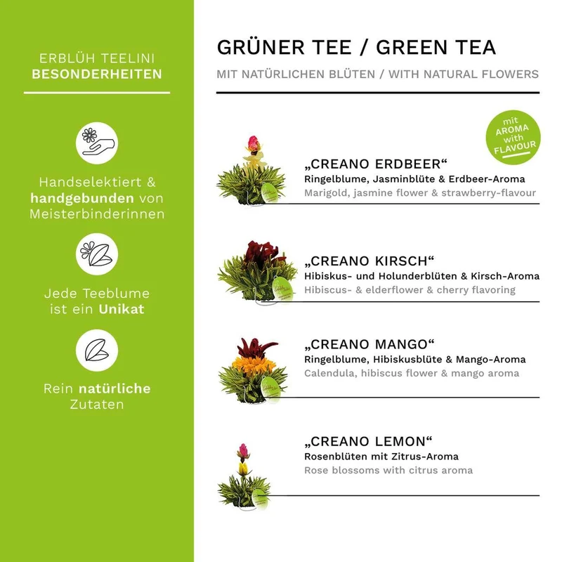 Creano | Teelini Teekiste 12 Stck. in 4 Sorten | Grüner Tee | Geschenk