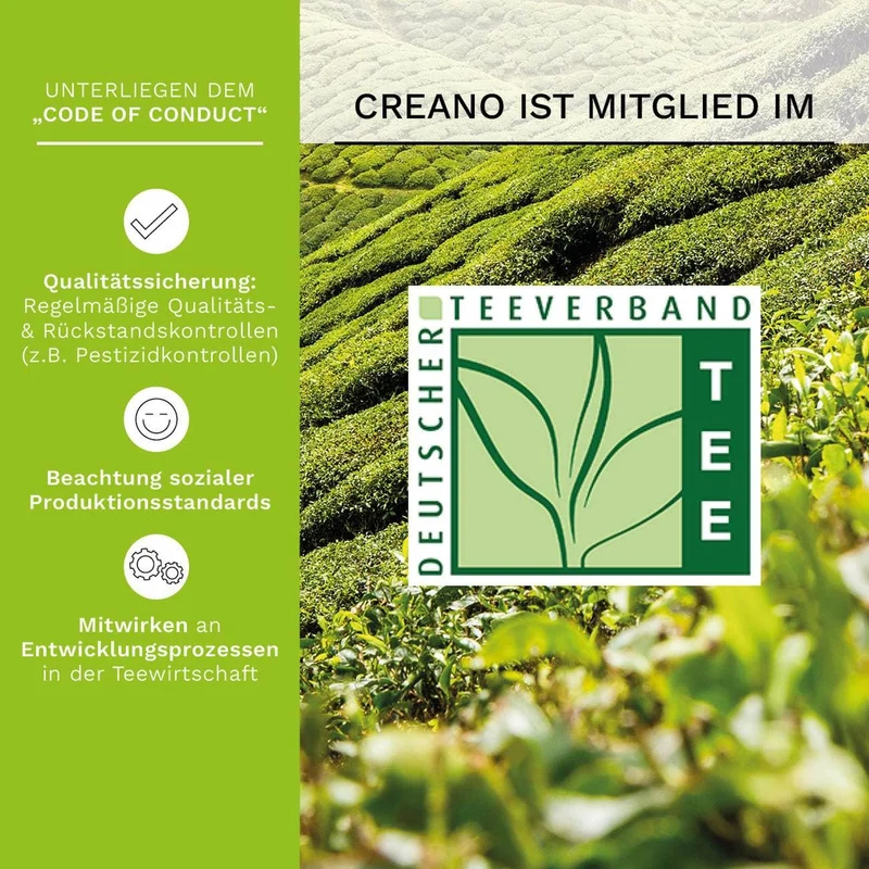 Creano | Teelini Teekiste 12 Stck. in 4 Sorten | Grüner Tee | Geschenk