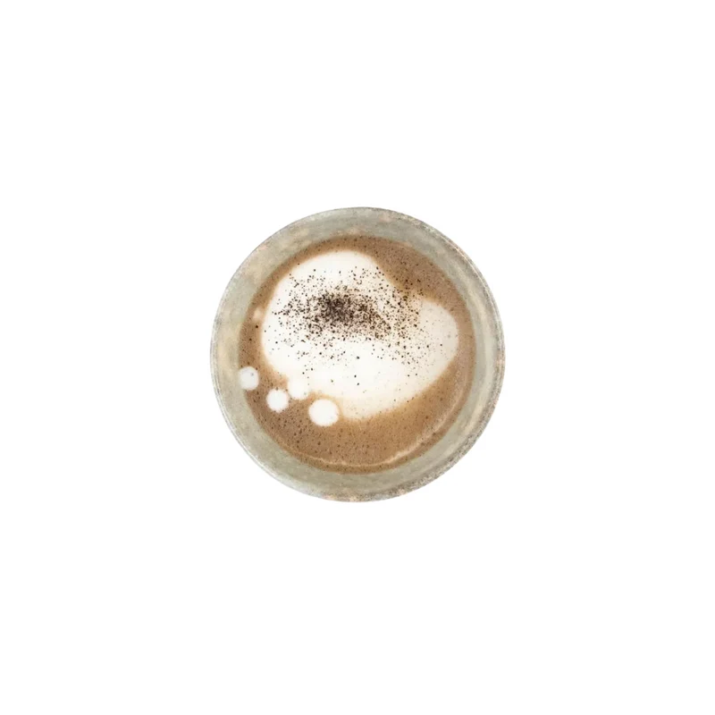Japan Hojicha Pulver | BIO | Grüntee