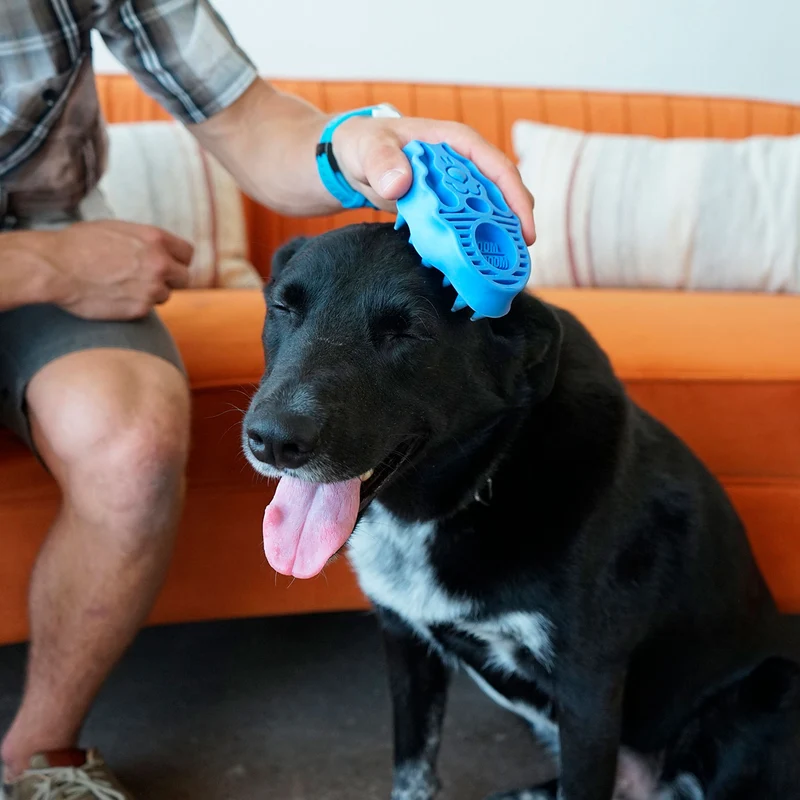 Hundestriegel KONG® Zoomgroom™