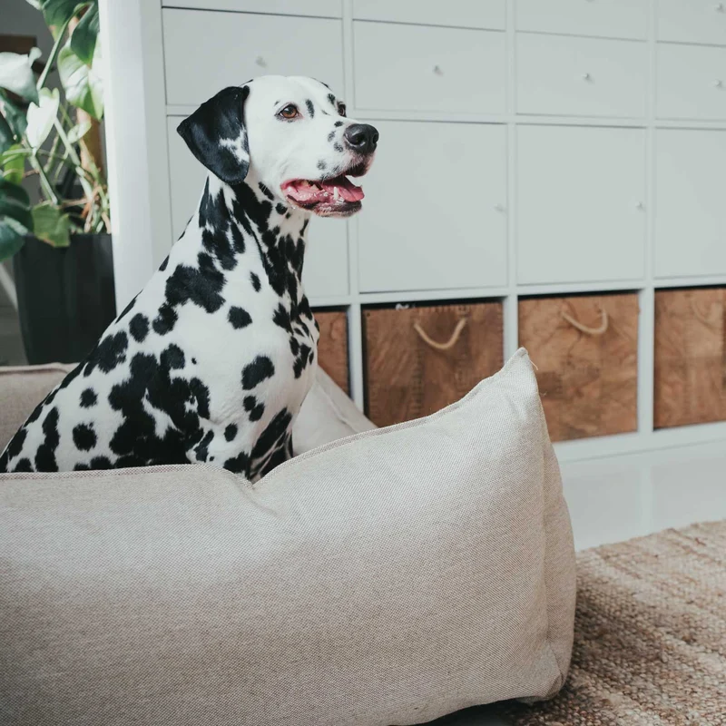 Hundesofa Livingston