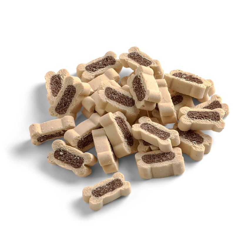 Hundesnack Training