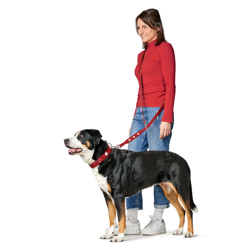 Halsband Swiss
