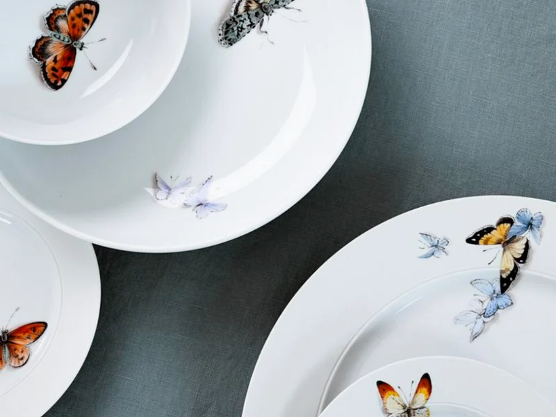 Schale | Lotos | Papilio