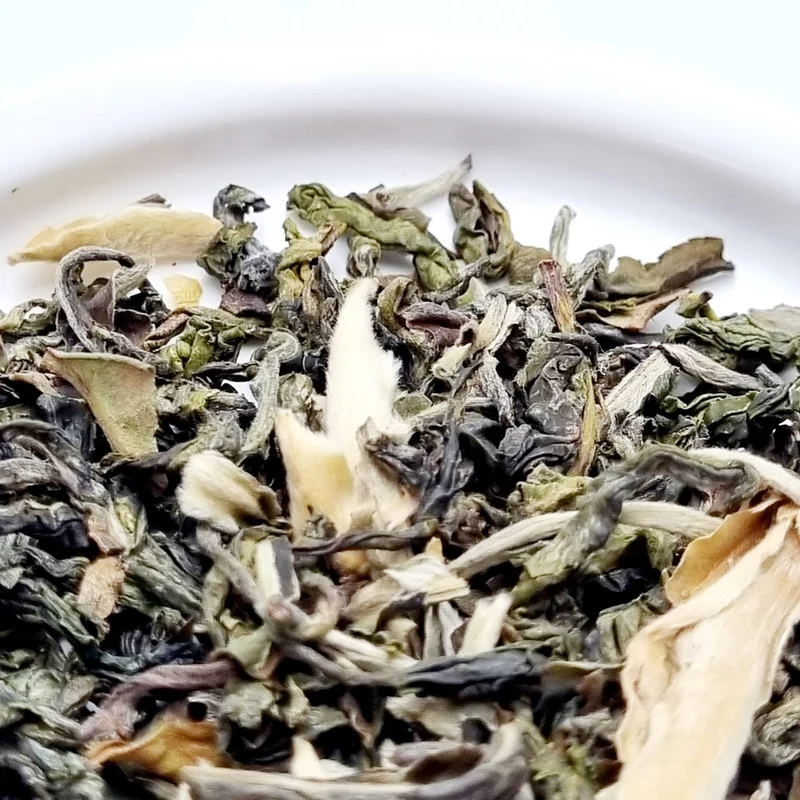 China Grüner Drache | Grüntee