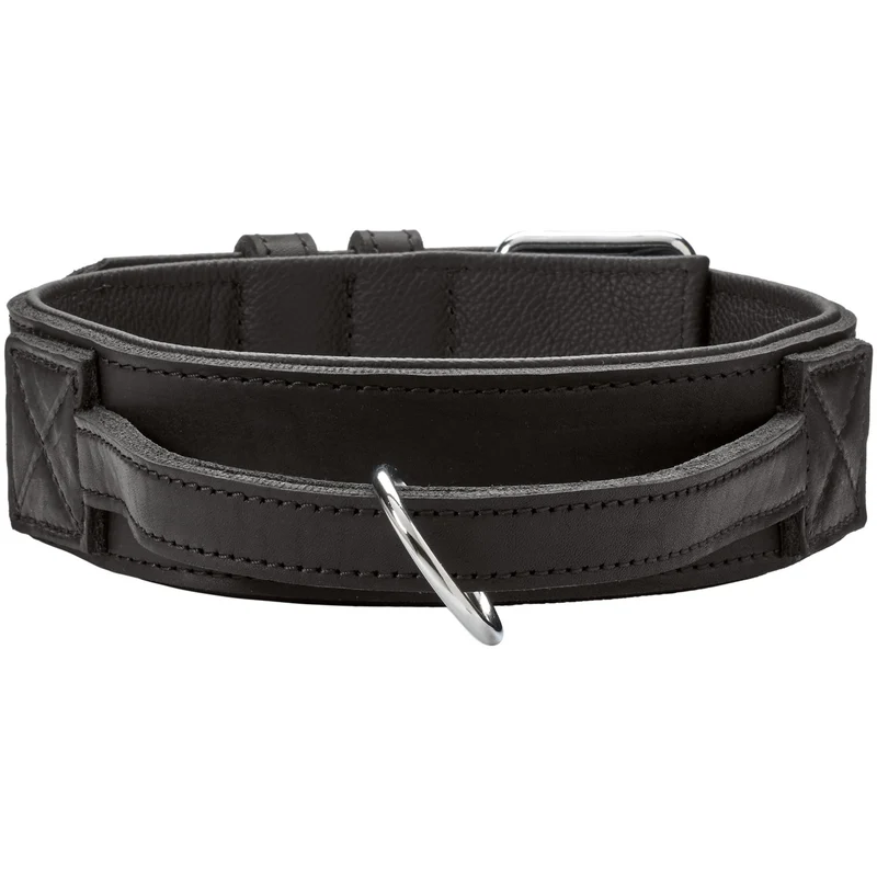 Trainingshalsband mit Griff Larvik