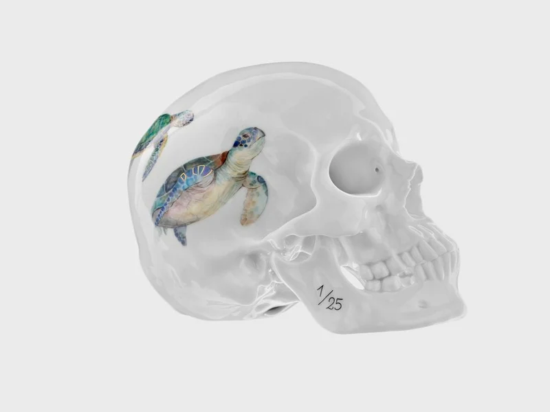 Totenkopf Wasserschildkröte (Limitierte Edition 25 Stück)