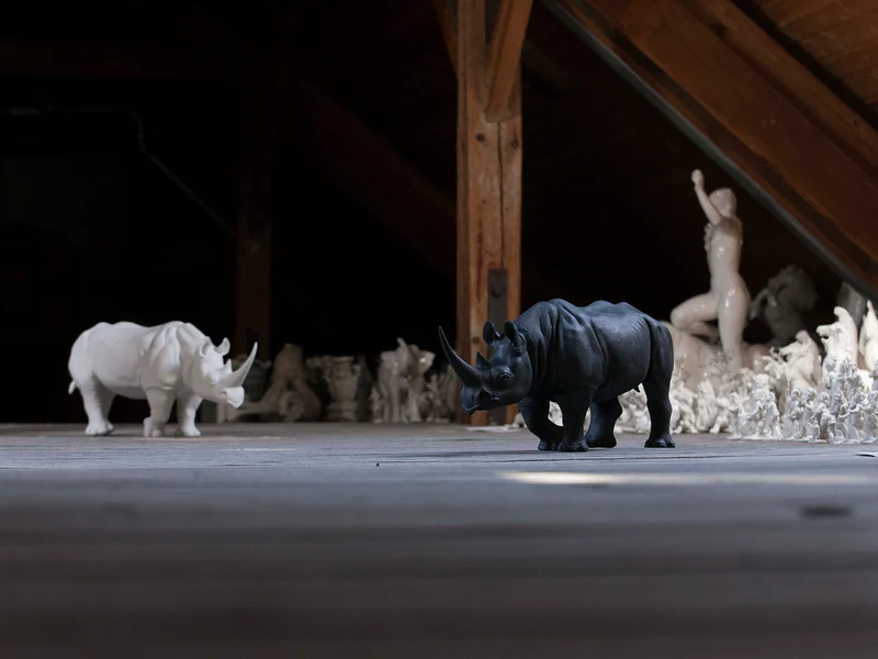 Spitzmaulnashorn Albert