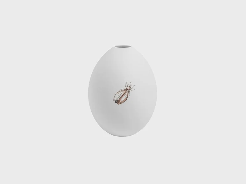 Eivase Gänseei | Käfer | S