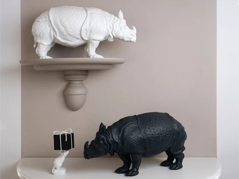 Rhinozeros Clara