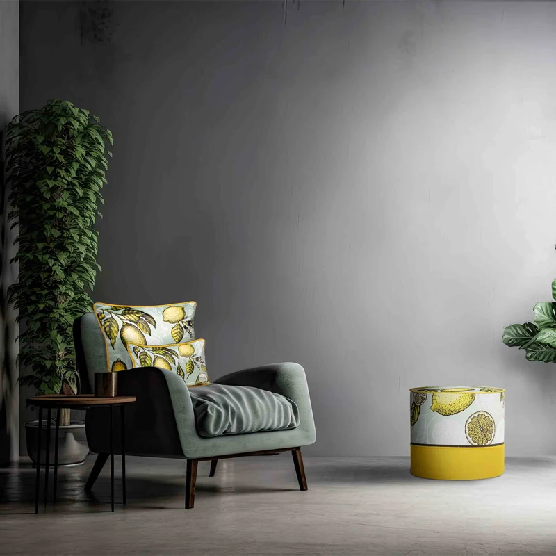 Cushion MIA LEMON Set of Two by Luciana Gomez for MYIN