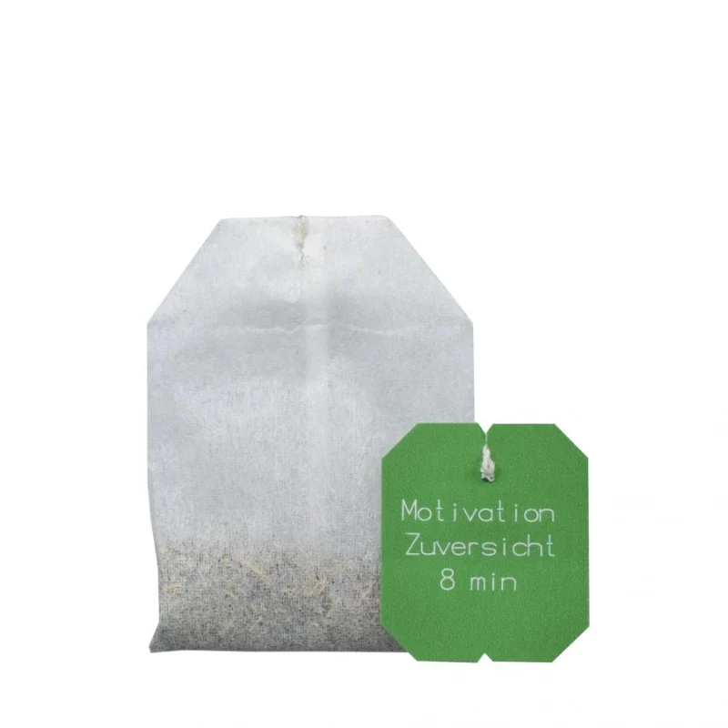 Salus Bachblüten Tee „Motivation & Zuversicht“ Bio 15 FB
