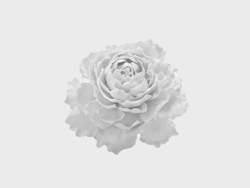 Tischblume Pfingstrose