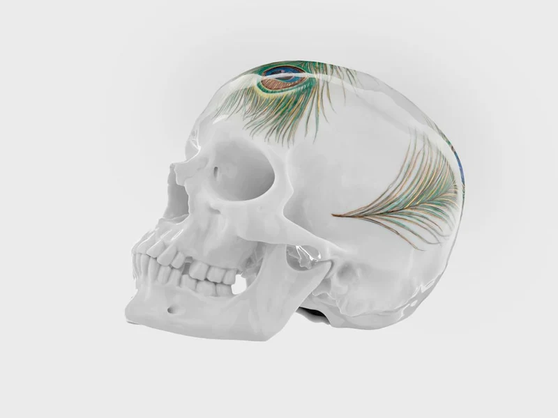 Totenkopf Pfauenfeder (Limitierte Edition 25 Stück)