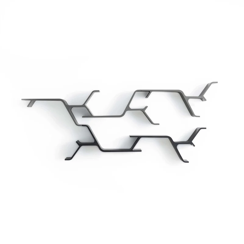 Shelf SINAPSI by Sebastian Errazuriz for Horm