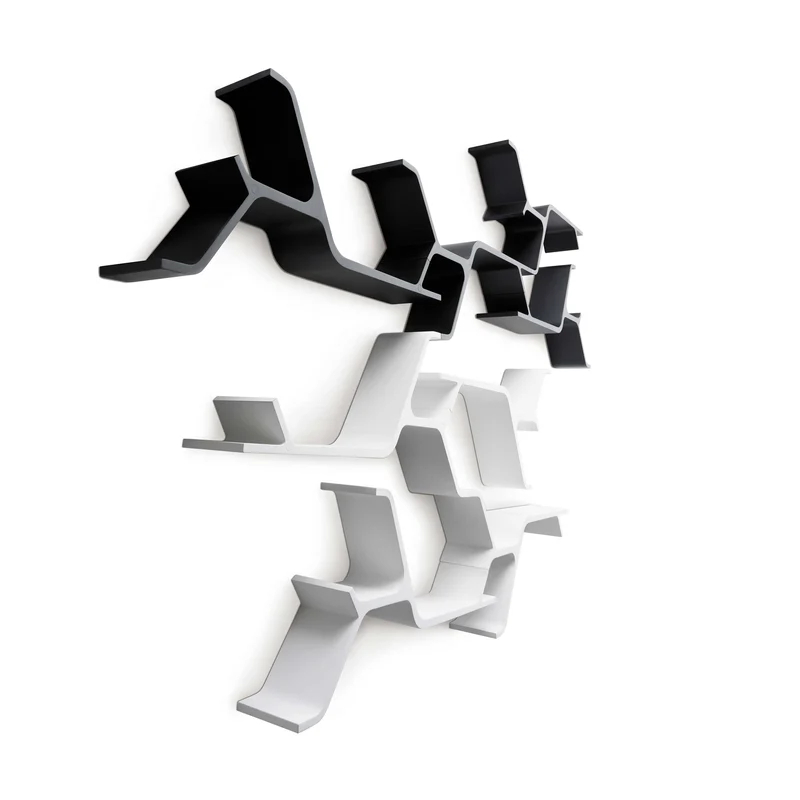 Shelf SINAPSI by Sebastian Errazuriz for Horm