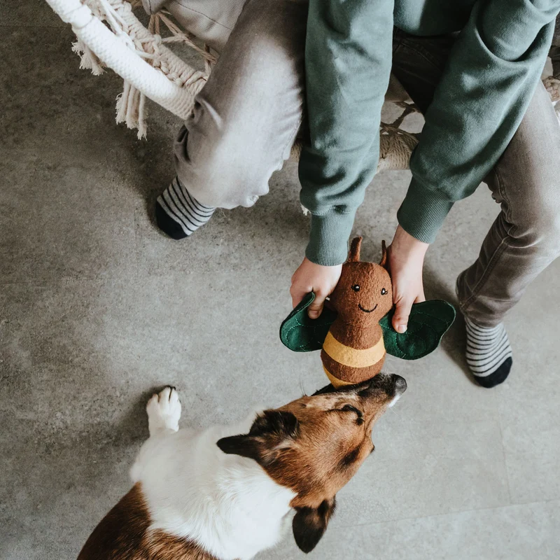 Hundespielzeug Florenz