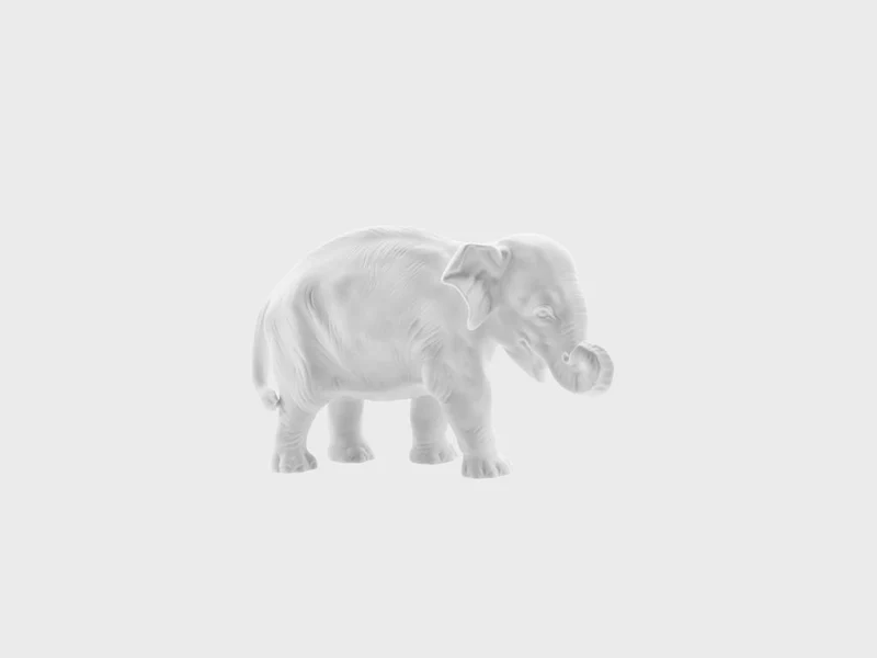 Junger Elefant Rüssel eingerollt