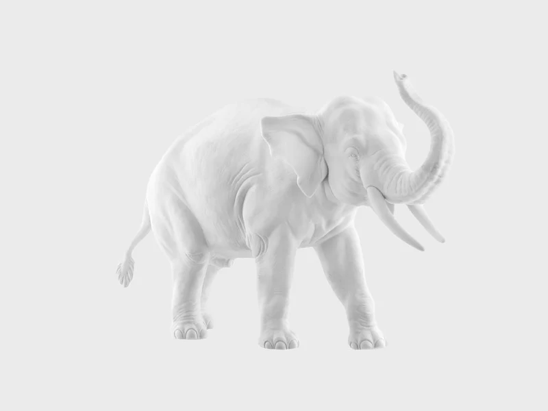 Elefant Rüssel aufwärts