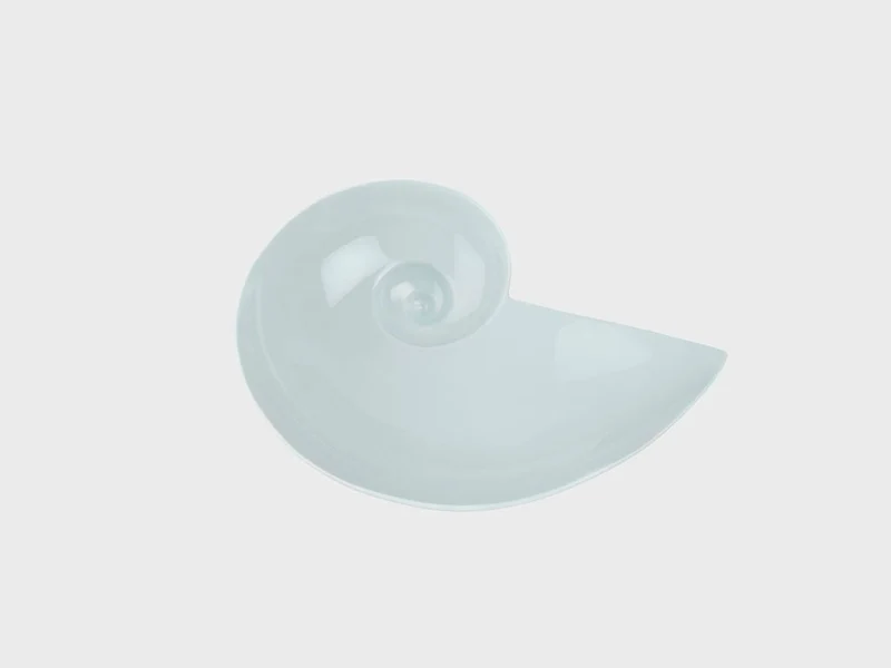 Mondschneckenschale | S