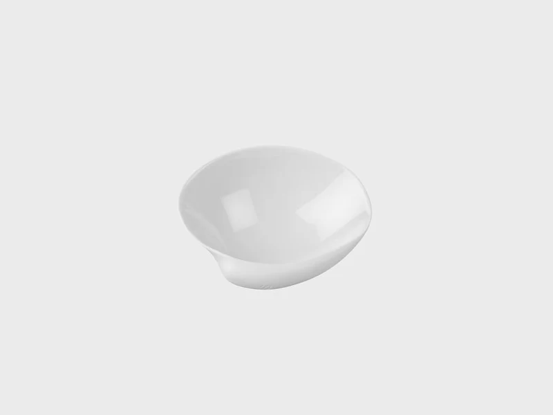 Muschel Clam