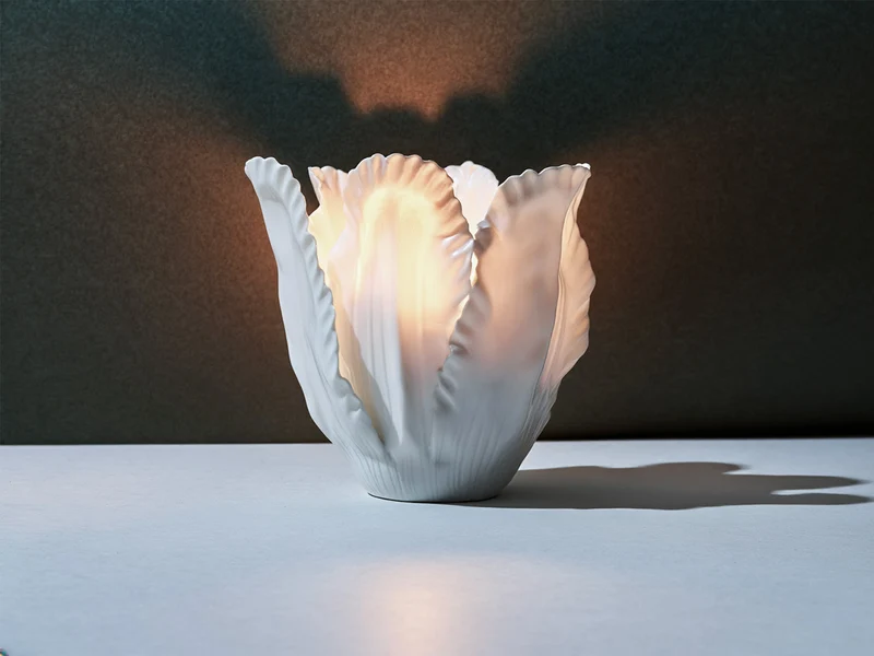 Tulpenwindlicht
